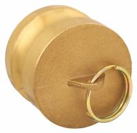 Dust Plug: 2 in Coupling Size, 250 psi Max. Working Pressure @ 70 F, 2 9/16 in Overall Lg (MPN G200-DP-BR). Key specifications — Brand: DIXON VALVE & COUPLING.