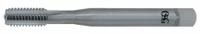 OSG Straight Flute Tap: #10-24 UNC, 2B, 3 Flute, Bottoming Chamfer, Carbide (MPN 3190300)