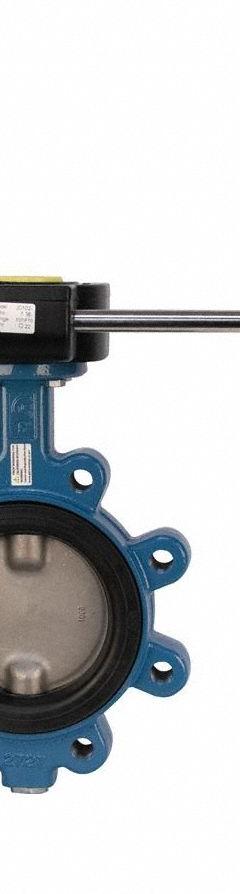 GHIBSON Butterfly Valve: 10 in Pipe Size, Concentric, 250 psi Max. Pressure (CWP), Lug, Ductile Iron (MPN G531S-10). Key specifications — Brand: GHIBSON; Handle Type: Gear Operated Handwheel; Disc Material: Stainless Steel.