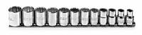 PROTO Socket Set: 3/8 in Drive, 12 Piece, 12-Point, Metric, 8 mm to 19 mm (MPN J52216). Key specifications — attr1224269: 3/8 in; attr1204685: Not Tether Capable; attr1204650: 8 mm to 19 mm; attr1204673: Socket Bits Not Included; attr1204688: PROTO; attr1206170: Standard Sockets.