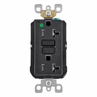 LEVITON Duplex Receptacle Outlet: Hospital Grade, Duplex, 5-20R, Black, 125V AC, 20 A (MPN AFTR2-HGE)
