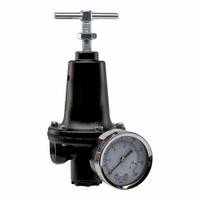 PARKER Regulator: Zinc, 3/8 in NPT, 110 scfm, 2 psig to 125 psig, 300 psig Max Op Pressure, T-Handle (MPN R119-03CG). Key specifications — attr111664: Yes; attr111400: R119; attr111627: PARKER.