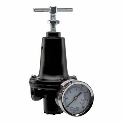Parker Regulator: Zinc, 3/8 in NPT, 110 scfm, 2 psig to 125 psig, 300 psig Max Op Pressure - Parker FRL Air Regulators