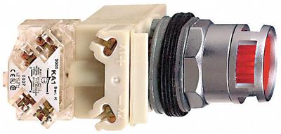 SCHNEIDER Illuminated Push Button: Illuminated, Flush Profile, Metallic, 30 mm - Illuminated Flush-Mount Push Buttons
