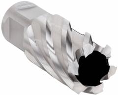 SLUGGER BY FEIN Annular Cutter: 7/8 in Cutter Dia, 1 in Max Cutting Dp, Bright, High Speed Steel (MPN 63134222123). Key specifications — attr253884: No; attr253885: Bright; attr253886: High Speed Steel; attr253887: Weldon Flat; attr253888: Fractional Inch; attr277149: SLUGGER BY FEIN.