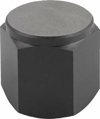 KIPP Tapped Positioning Foot w/Flat Face: Internal Threads, Flat, M16 Thread Size, 20 mm Thread Lg (MPN K0298.4301). Key specifications — Brand: KIPP.