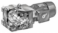 NORD AC Gearmotor: Right Angle, Single Output Shaft, 3-Phase, TEFC, 19 RPM, 13,721 in-lb Max Torque (MPN SK9032.1-112MP/4-93.50-A). Key specifications — Brand: NORD; Full Load Current: 6.5 A.