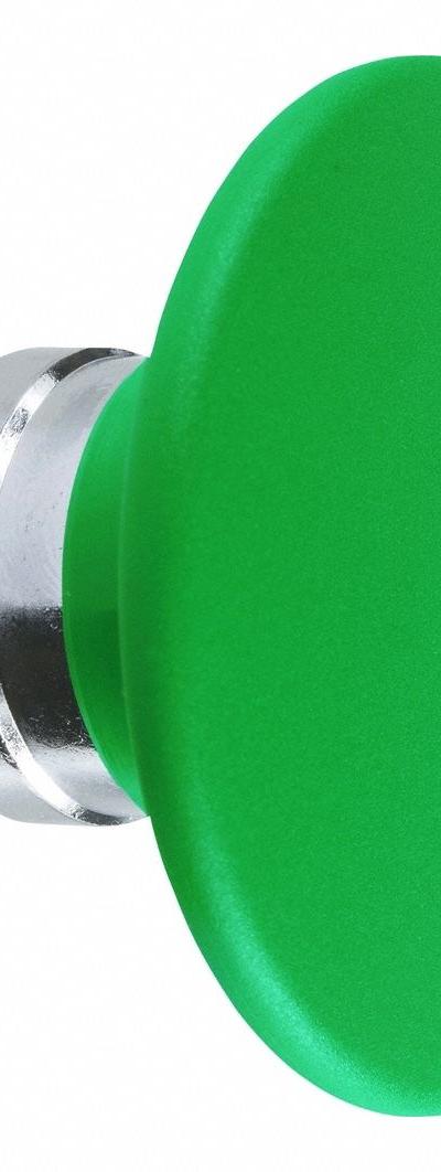 SCHNEIDER Mushroom Head Push Button: Green - Mushroom-Head Push-Button Operators