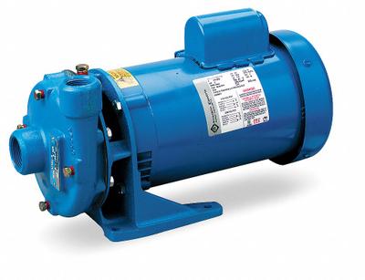 GOULDS WATER TECHNOLOGY Centrifugal Pump: 2 hp, 115/230V AC, 118 ft Max Head, 1 1/4 in - 2 to 3 HP Straight Centrifugal Pumps