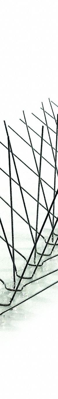 BIRD-X Bird Repellent Spikes: Narrow, Plastic Base, Silver, 10 ft Overall Lg, Stainless Steel Spikes (MPN SLS-10). Key specifications — Brand: BIRD-X; Spike Material: Stainless Steel; Targeted Birds: Pigeons; Base Material: Plastic; Ledge Width: Narrow.