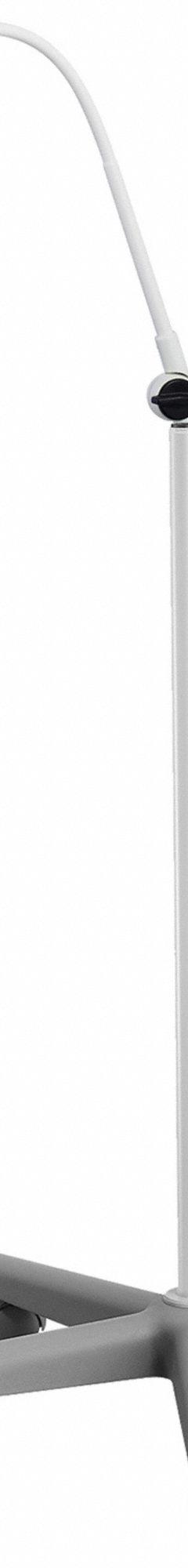 WALDMANN Exam Light: LED, 30,000 lux @ 0.5 m, Floor Stand, 4400K, 93 CRI, 8 W Watt, 100 to 240V AC (MPN D15992110). Key specifications — Operating Voltage: 100 to 240V AC; Illumination: 30,000 lux @ 0.5 m; Power Source: AC Adapter; Manufacturer Part Number: D15992110; Brand: WALDMANN; Color Temperature: 4400K.