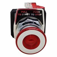 DAYTON Emergency Stop Push Button: Non-Illuminated, Mushroom Head Profile, Metallic, 30 mm, 1NC (MPN GGS_116328). Key specifications — Brand: DAYTON; Action: Maintained; Push Button Material Type: Metallic.