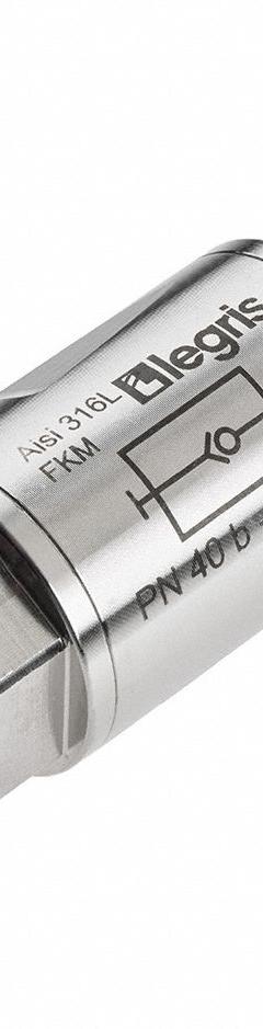 LEGRIS Check Valve: Swing, Inline Valve Body, 1/2 in Pipe Size, FNPT x FNPT, For Fluids Media, 2 PK (MPN 4895 22 22). Key specifications — Brand: LEGRIS.