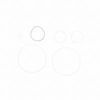 FILL-RITE Teflon Seal Kit: Teflon Seal Kit, Fill-Rite, (6) O-Rings (MPN SK20PTF)