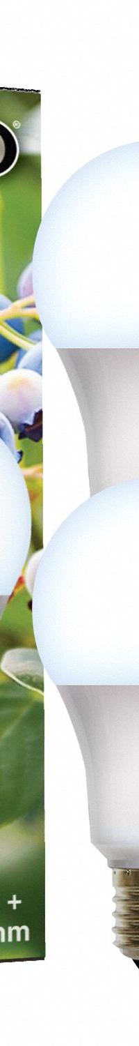 LED Grow Bulb: LED, A19, 120V, Blue/Full/Broad, 150 W Incandescent Watt Equivalency (MPN 601817). Key specifications — Plant Growth Application: Height Control; Brand: MIRACLE LED; Bulb Shape: A19; Spectrum: Full/Broad.