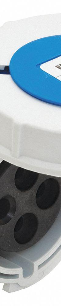 BRYANT Pin and Sleeve Receptacle: Blue, 250V AC, Single Phase, 20 A, 2 Pole, 3 Wire, IEC Grounding (MPN BRY320R6W). Key specifications — Brand: BRYANT.