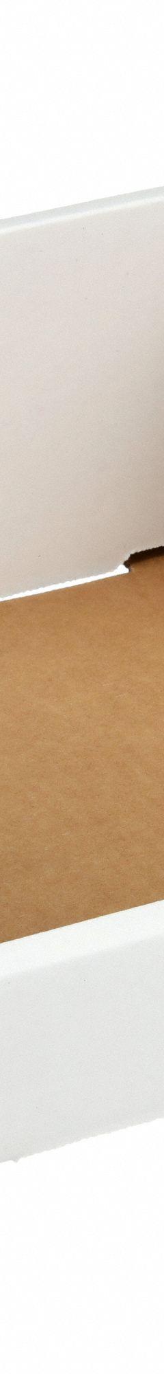 PACKAGING CORPORATION OF AMERICA Corrugated Shelf Bin: 11 in Overall Lg, 10 1/4 in x 4 3/4 in, White (MPN 1W862). Key specifications — Brand: PACKAGING CORPORATION OF AMERICA; % Recycled Content: 30-45%; Manufacturer Part Number: 1W862; Includes Dividers: Dividers Not Included; Electrostatic Discharge: Not Electrostatic Discharge Conductive.