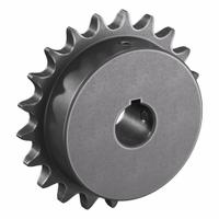 TRITAN Roller Chain Sprocket: 40, For 1/2 in Chain Pitch, 3/4 in Bore Dia, 21 Teeth, Steel (MPN 40BS21H X 3/4). Key specifications — Brand: TRITAN.