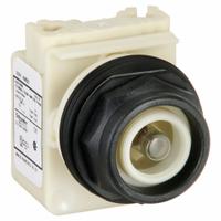 SCHNEIDER ELECTRIC Pilot Light: 30 mm Panel Mounting Size, No Lens Included, Incandescent (MPN 9001SKP38). Key specifications — Lens Color: No Lens Included; Series: 9001SK; Brand: SCHNEIDER; Includes Push-To-Test: No Push-To-Test Included.