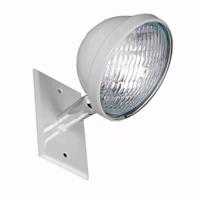 Remote Head: LED, Steel, Ceiling/End/Wall, 5 W Lamp Watt, 1 Lamps, 6 V, Adj, White (MPN LS53F6W). Key specifications — Compatible Mfr. Model Number: LS2ECXL2RWW; Mounting Location: End; Voltage: 6 V; Adjustable: Yes; Housing Color: White; Brand: BIG BEAM.