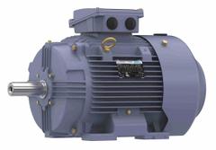 MARATHON MOTORS Metric Motor: 15 hp, Rigid Base Mount, 160L Frame Size, Totally Enclosed Fan Cooled (MPN TCA0113AE211GAA009). Key specifications — Brand: MARATHON MOTORS; Nameplate Voltage @ 60 Hz: 230/460V AC; Full Load Amps @ 60 Hz: 38.0/19.1 A; Nameplate RPM @ 60 Hz: 1180 RPM; Motor Enclosure: TEFC.