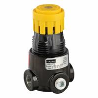 PARKER Regulator: Zinc, 1/8 in NPT, 13 scfm, 0 psig to 125 psig, 300 psig Max Op Pressure, Knob (MPN 14R013FC). Key specifications — attr111664: No; attr111400: 14; attr111627: PARKER.