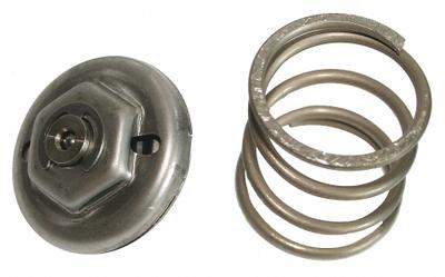 BELL & GOSSETT Steam Trap Replacement Module: For Bell & Gossett (MPN 600053) - Thermostatic Replacement Elements