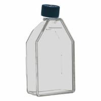 APPROVED VENDOR Plastic Cell Culture Flasks: Cell Culture, Polystyrene, 55 mL, 1.86 fl oz, Sterile (MPN CL-FT175P). Key specifications — Brand: APPROVED VENDOR; Graduated: Yes; Includes Closure: Yes.