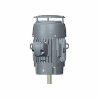 U.S. MOTORS General Purpose Motor: C-Face Mount, Totally Enclosed Fan Cooled, 15 hp, 1,775 RPM (MPN C15P2DCR). Key specifications — Brand: U.S. MOTORS; Nameplate Voltage @ 60 Hz: 208-230/460V AC; Full Load Current @ 60 Hz: 40.0-37.0/18.4 A; Nameplate RPM @ 60 Hz: 1,775 RPM; Motor Enclosure: TEFC.