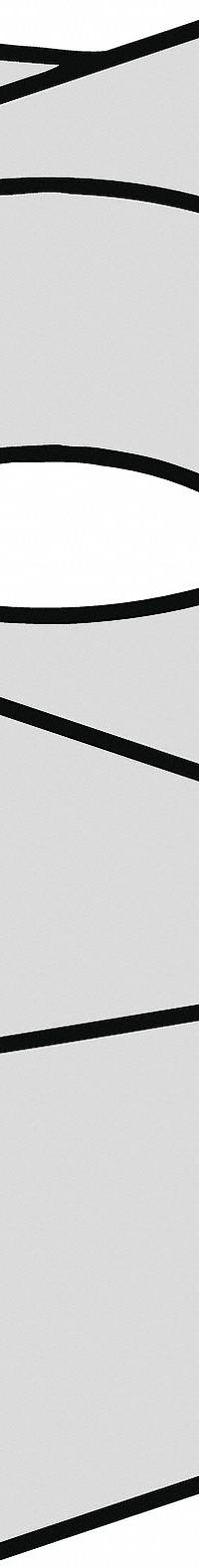 WIDIA Threading Insert (MPN 2018252)