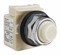 SCHNEIDER ELECTRIC Pilot Light: 30 mm Panel Mounting Size, White, Incandescent, 9001K Series (MPN 9001KP35W31). Key specifications — Series: 9001K; Brand: SCHNEIDER; Includes Push-To-Test: No Push-To-Test Included.