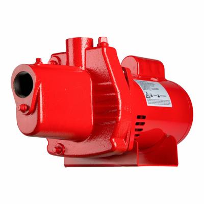 RED LION Shallow Well Jet Pump (MPN RJS-50-PREM) - Shallow-Well Jet Pumps
