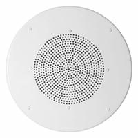 SPECO TECHNOLOGIES Speaker Grille Combination: Powered, 1-Way, 8 ohm Impedance, 6 3/4 in Overall Wd (MPN G46TG). Key specifications — For Location: Indoor; Power Style: Powered.