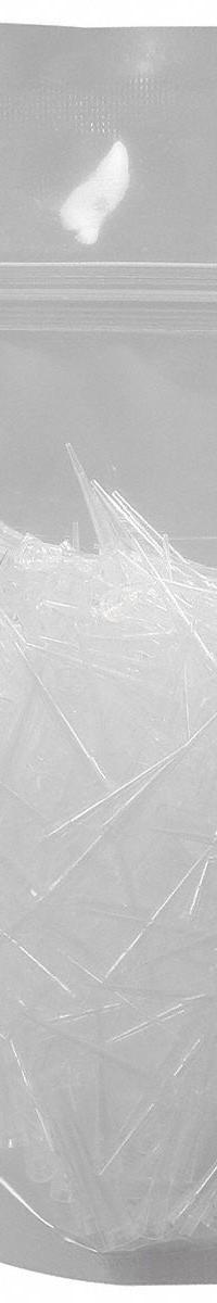 COLE PARMER Pipette Tip: Non-Sterile, 200 ul Capacity, Bulk Bag, No Filter, Polypropylene, 1,000 (MPN 24502-43). Key specifications — Autoclavable: Not Autoclave Compatible; Brand: COLE PARMER; Color: Clear; Disposability: Single-Use; Material: Polypropylene; Sterility: Non-Sterile; For Pipette Type: Universal; Includes Filter: No Filter.