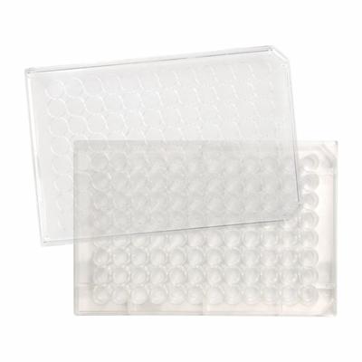 CAPLUGS Tissue Culture Treated Well Plates: Sterile, 96 Wells, 0.32 mL, 85 mm Dia - Cell Culture Plates