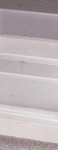NALGENE Lab Pan: Rectangular, Polypropylene, 3.1 L, 12 3/4 in Overall Lg, 10 1/4 in Overall Wd (MPN 6902-3000). Key specifications — Brand: NALGENE; For Use With: Labware.