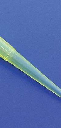 GLOBE SCIENTIFIC Pipette Tip: Non-Sterile, 200 ul Capacity, Bulk Bag, No Filter, Clear, 1,000 (MPN 152143). Key specifications — Autoclavable: Autoclavable; Brand: GLOBE SCIENTIFIC; Color: Clear; Disposability: Single-Use; Material: Polypropylene; Sterility: Non-Sterile; For Pipette Type: Universal; Includes Filter: No Filter.