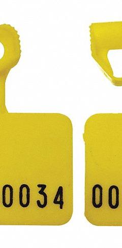 ELC SECURITY PRODUCTS Padlock Seals: Yellow, Plastic, 8 lb Breaking Strength, 5 mm Lock Wd, 250 PK (MPN 092H01PPYL). Key specifications — Brand: ELC SECURITY PRODUCTS; Marking Color: Black; Marking Included: Numbers; Marking Numbering: Random; Lock Material: Plastic.