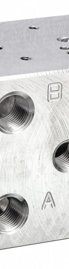 DAMAN Manifold: 3,000 psi Max Pressure, D03 NFPA Size, Aluminum, 3 in Overall Ht, 3 in Overall Wd (MPN AD03S022P). Key specifications — Body Material: Aluminum; Brand: DAMAN; NFPA Size: D03; Port Connection Type: NPT.