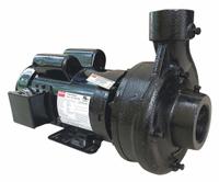 Centrifugal Pump: 2 hp, 115/230V AC, 50 ft Max Head, 2 1/2 in , 2 in Intake and Disch (MPN 55JJ63). Key specifications — Brand: DAYTON; Motor Enclosure Type: TEFC.