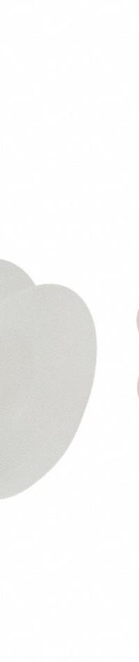 SCHMALZ Vacuum Pad Assembly: Multi-Bellows, 2.5 Folds, G1/4 in Vacuum Port, 45 mm Pad Dia, Clear (MPN 10.01.06.00045). Key specifications — attr1019136: 10.01.06.00045; attr1019138: SCHMALZ; attr1019139: 55 A.