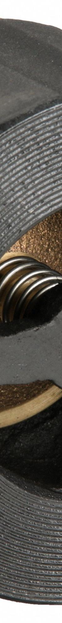 SSI Silent Check Valve: Swing, Inline Valve Body, 2 1/2 in Pipe Size, Wafer, Cast Iron, Wafer, Wafer (MPN 0250-125WCIBM-T). Key specifications — Brand: SSI.