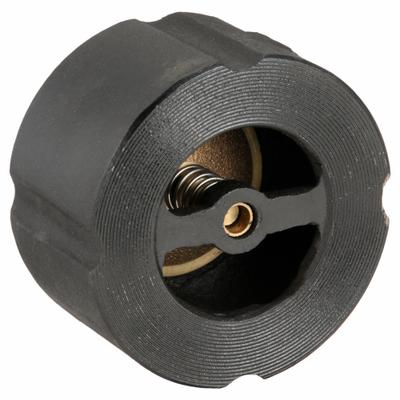 SSI Silent Check Valve: Swing, Inline Valve Body, 2 1/2 in Pipe Size, Wafer - Cast Iron Wafer Disc Check Valves