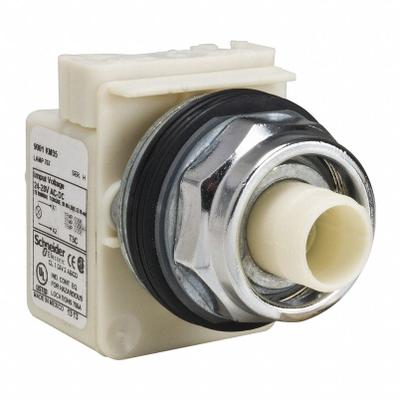 SCHNEIDER Flush Push Button: 30 mm Mounting Size, Metallic - Illuminated Flush-Mount Push-Button Operators