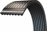 CONTINENTAL V-Belt: 8/B136, 8 Ribs, 139 in Outside Lg, 5 9/32 in Top Wd, 17/32 in Thick (MPN 20040277)