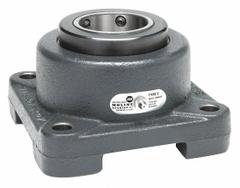 MOLINE BEARING Flange Bearing: Tapered Roller, 2 3/4 in Bore, Cast Iron, Set Screws, 7 3/4 in Lg (MPN 19311212). Key specifications — Bore Type: Cylindrical; Brand: MOLINE BEARING; Lubricant Material: Lithium Complex Grease; Mounting Bolt Size: 3/4 in; System of Measurement: Inch.