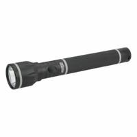 GRAINGER Flashlight: 250 lm, 25 hr Run Time at Max. Brightness, 374 m Max Beam, 3 Light Outputs (MPN 49XX74). Key specifications — Brand: GRAINGER; Battery Requirements - Broad: Requires 3 D.