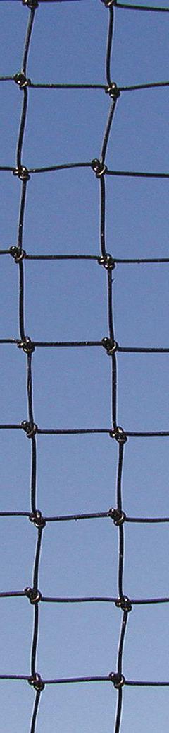 BIRD BARRIER Bird Repellent Netting: Bird Repellent Netting, Heavy, 625 sq ft Coverage Area, Bats (MPN N8-B110). Key specifications — attr973634: BIRD BARRIER; attr973648: Polyethylene; attr973635: Black; attr1167352: UV.
