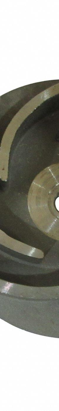 DAYTON Impeller: Mfr Part # 811D75, For Use With 2ZWU4A/2ZWU5A/2ZWZ2A. Key specifications — Impeller Material: 316 Stainless Steel; Compatible with Brand: Dayton; Compatible with Pump Type: Straight Centrifugal; Impeller Design: Semi-Open; Includes: Q-Ring; Manufacturer Part Number: 811D75; Compatible with Grainger Part Number: 2ZWU4A; Compatible with Manufacturer Model Number: 2ZWU5A.
