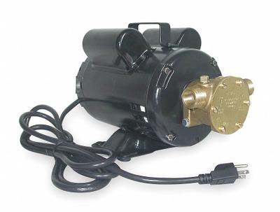 Dayton Utility Pump: 115/230V AC, 50 ft Max head, 8 ft Cord Lg, 1/2 in FNPT / 3/4 in MNPT - Electric Flexible Impeller Utility Pumps